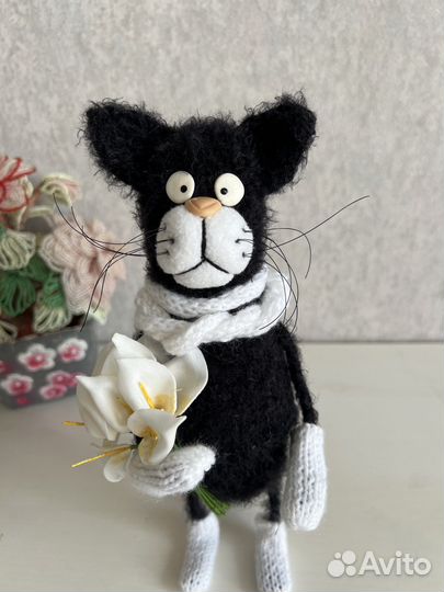 Кот