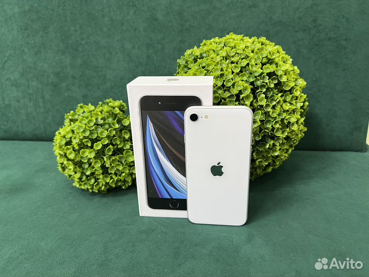 iPhone SE (2020), 128 ГБ
