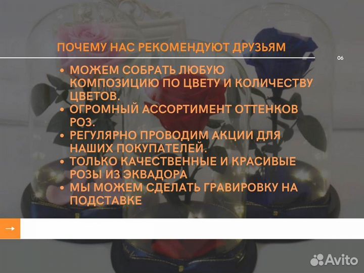 Роза в колбе. Живая