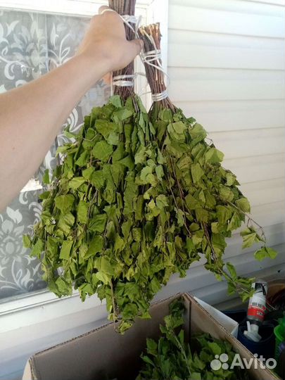 Веники для бани опт