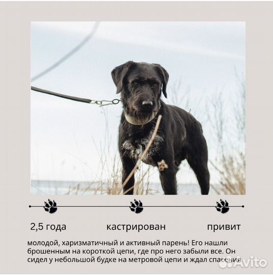 Всю жизнь один