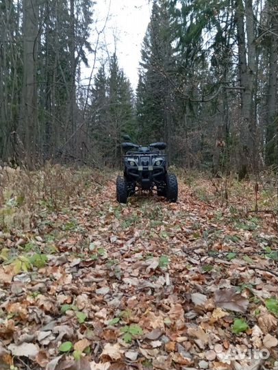 Квадрацикл