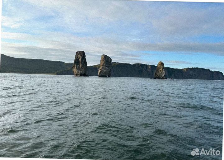 Камчатка летом тур поездка экскурсии до 9-ти дн