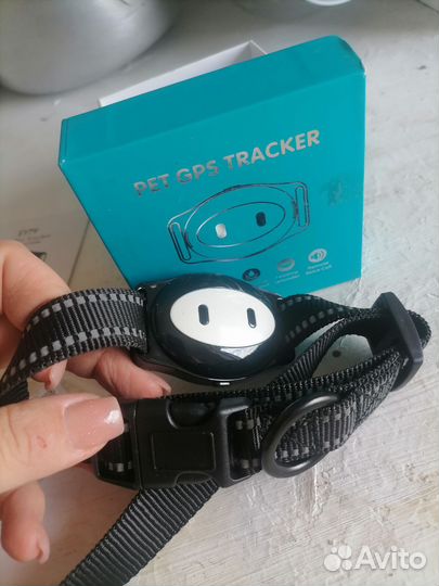 Gps ошейник