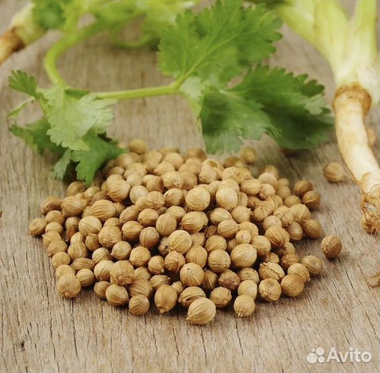 Кориандр (кинза ) семена для микрозелени