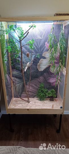 Клетка, террариум, вольер для птиц