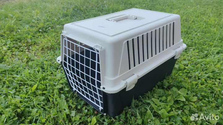 Аренда переноски для кошек и мелких собак