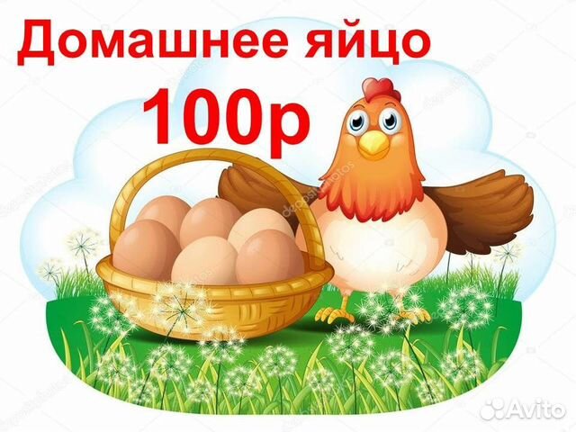 Яйца куриные, деревенские