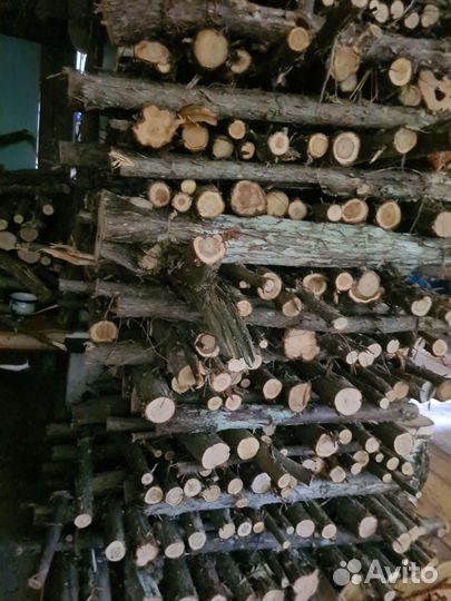 Можжевельник