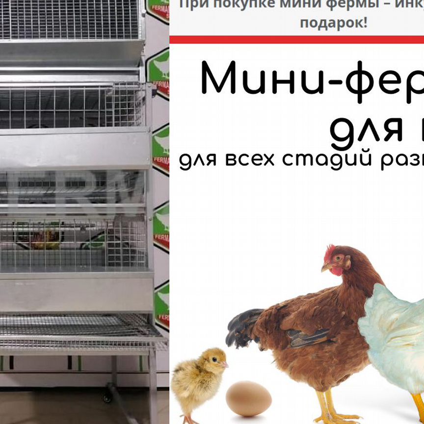 Мини-ферма для кур 80-100 голов+инкубатор в подаро