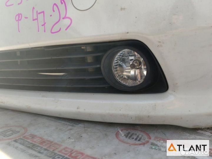 Nose cut toyota prius