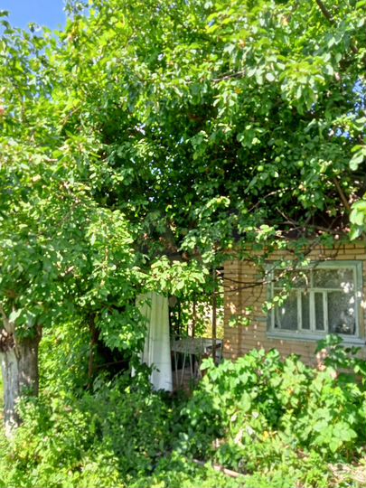 Дача 20 м² на участке 4 сот.