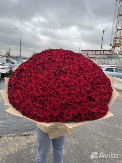 Роза 21роза 31 Роза 51 Роза 101 роза