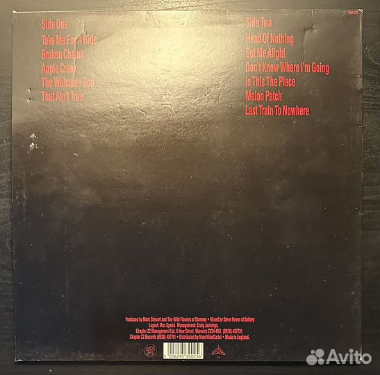 The Wild Flowers – Sometime Soon (Англия 1988г.)