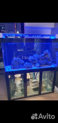 Морской аквариум объявление продам