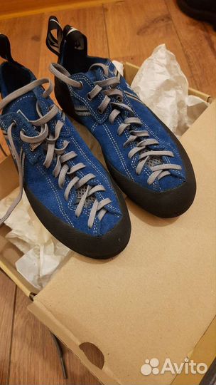 Скальные туфли Evolv Royale