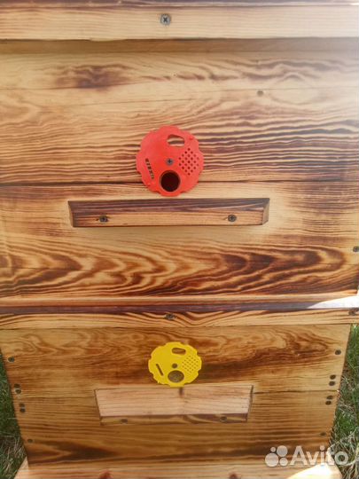 Ульи Дадан 12 рамочный