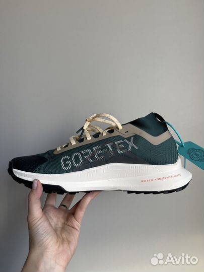 Nike Pegasus Trail 4 Gore tex