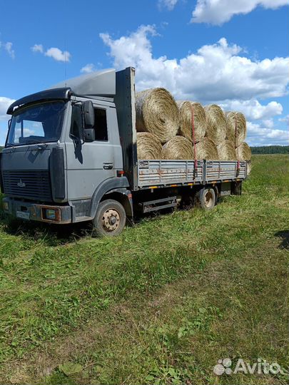 Сено в рулонах