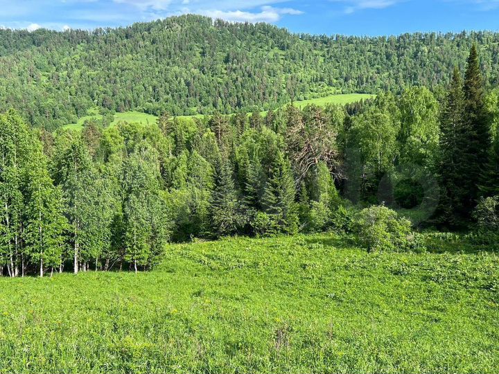 Участок 10 сот. (ИЖС)