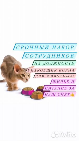 Работа вахтой/Еженедельные выплаты/Упаковщик