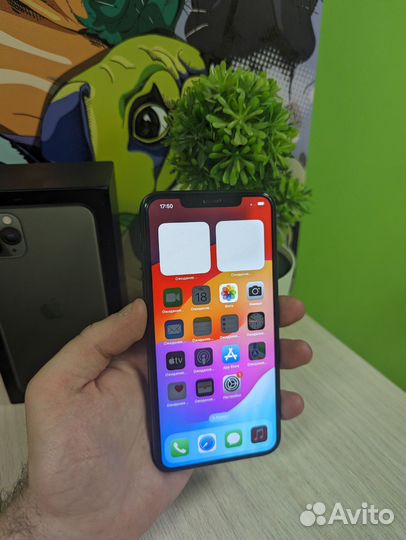 iPhone 11 Pro Max, 256 ГБ