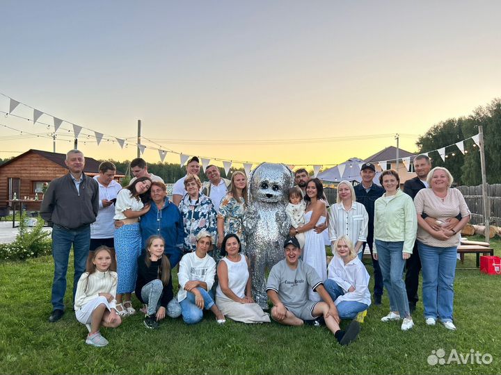 Выступление ростовой куклы Зайки (Серебро)