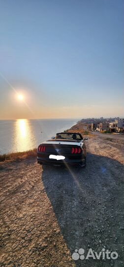 Аренда кабриолета Ford mustang с водителем