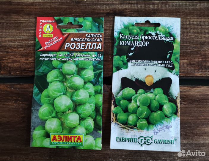 Семена брокколи