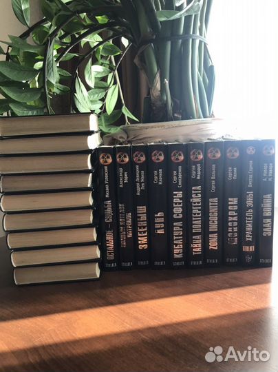 Книги S.T.A.L.K.E.R