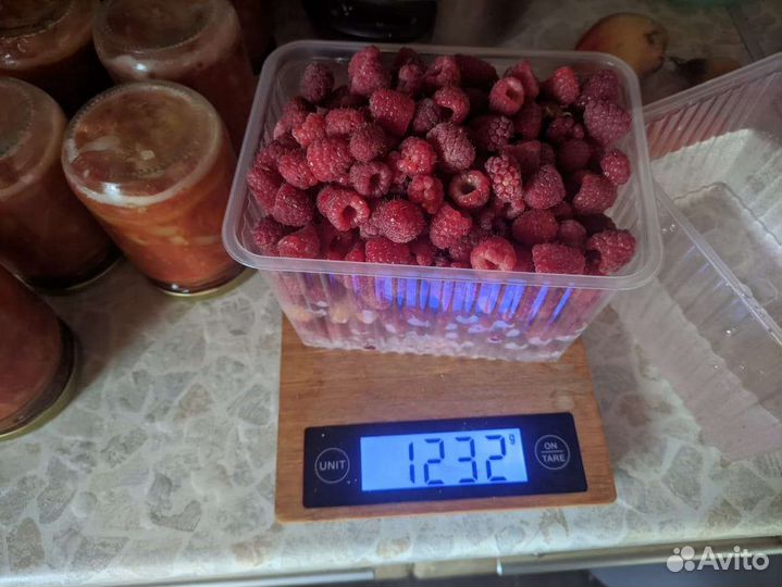 Ремонтантная малина, посадочный материал