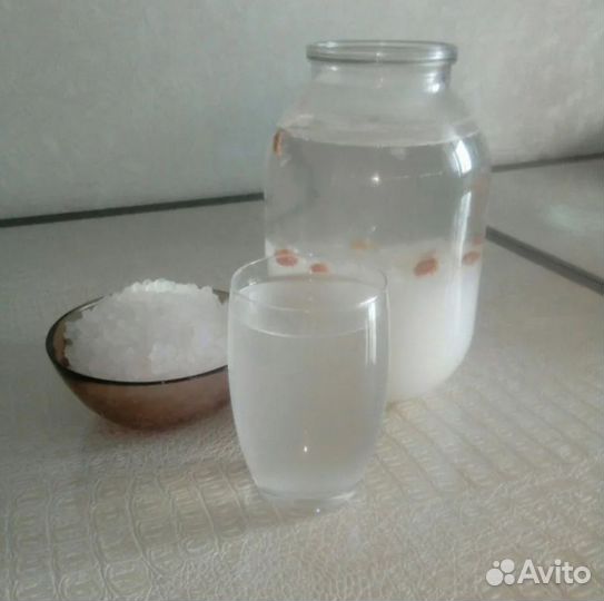 Тибетский молочный гриб и индийский морской рис