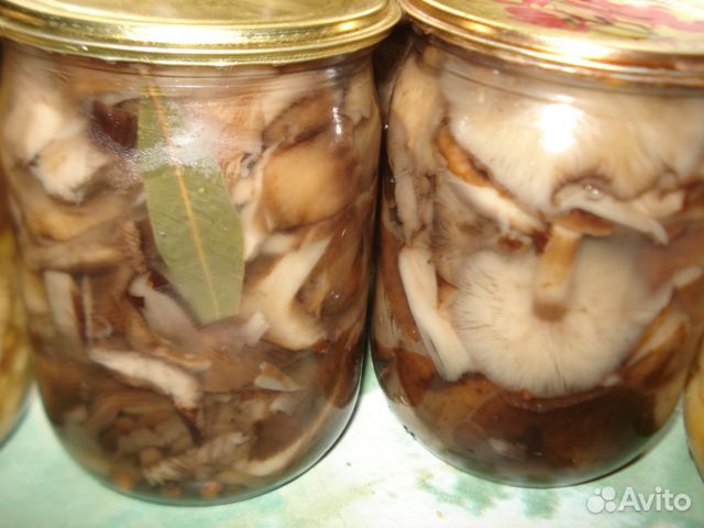 Грибочки маринованные