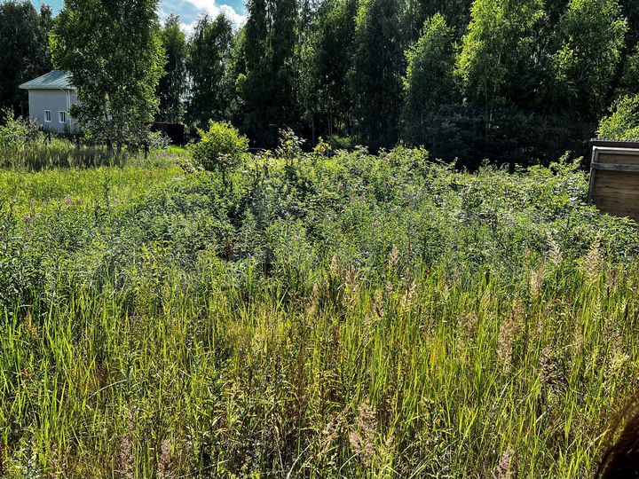 Участок 16 сот. (СНТ, ДНП)