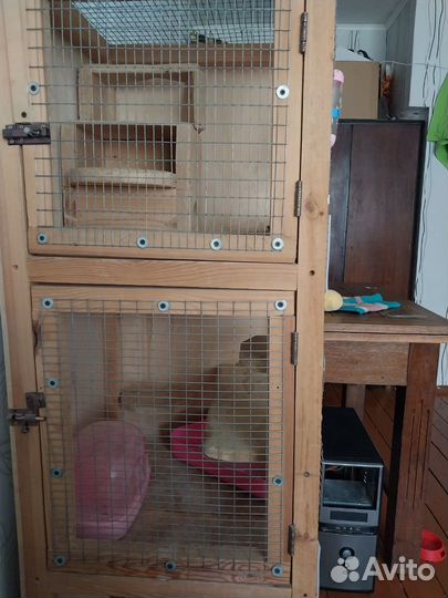 Клетка-Витрина