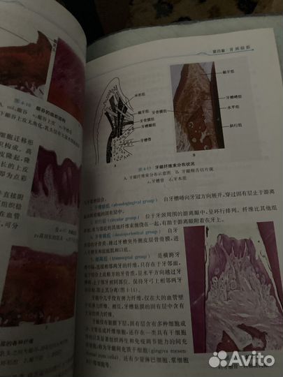 Учебники по медицине на китайском