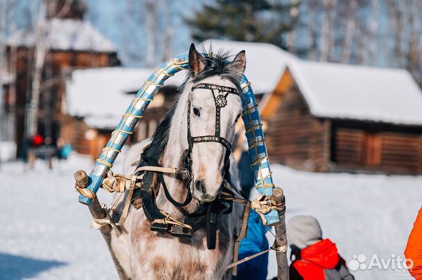 Зимний тур на Байкал 