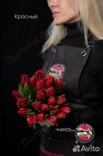 Тюльпаны 21 шт