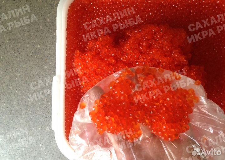 Красная икра