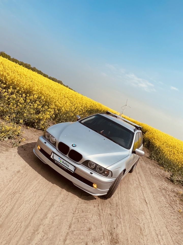 BMW 5 серия: фото владельца