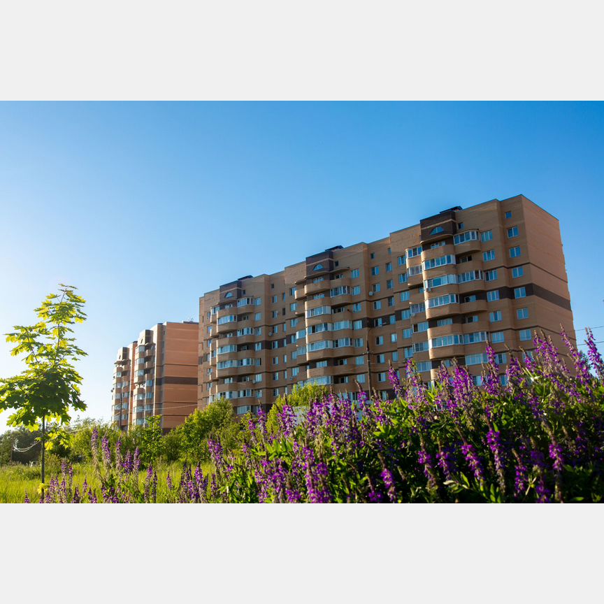 2-к. квартира, 54,7 м², 2/9 эт.