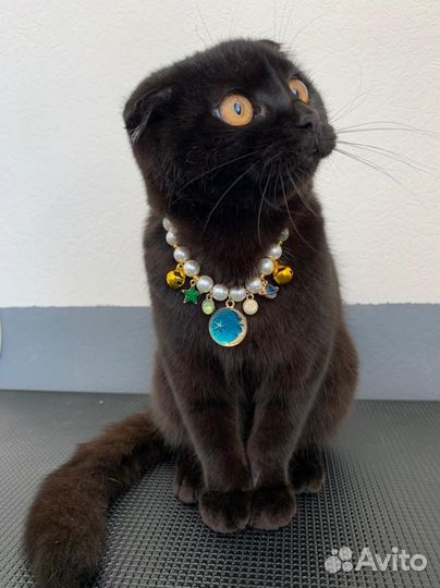 Вязка кота