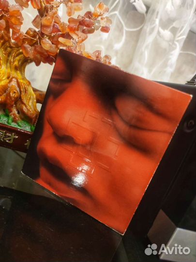 Rammstein - Mutter (Limited Tour Edition)