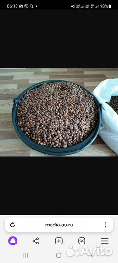 Орех кедровый ведро