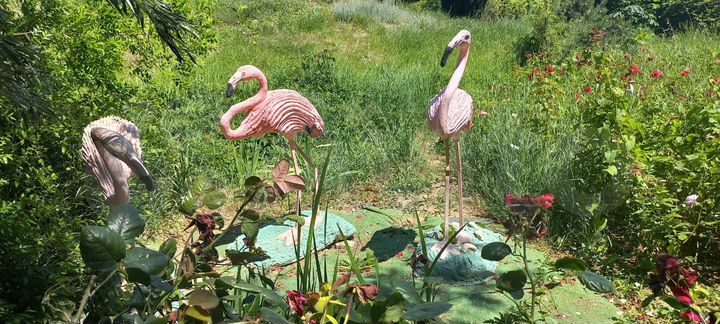 Апартаменты-студия, 16 м², 2/2 эт.