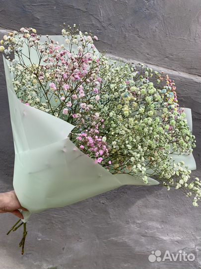 Гипсофила букет цветы