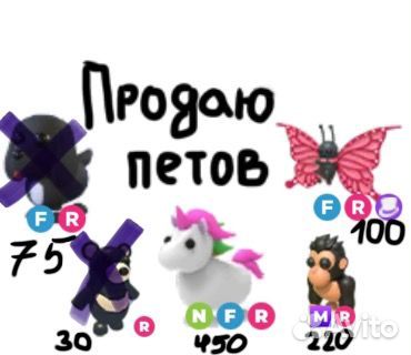 Петы адопт ми