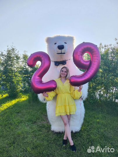 Медведь на праздник. Белый медведь на праздник