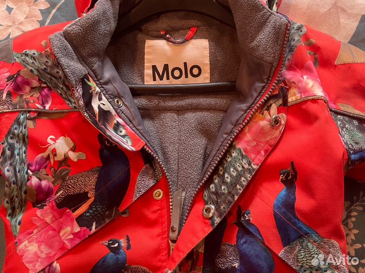 Зимний комбинезон molo 104