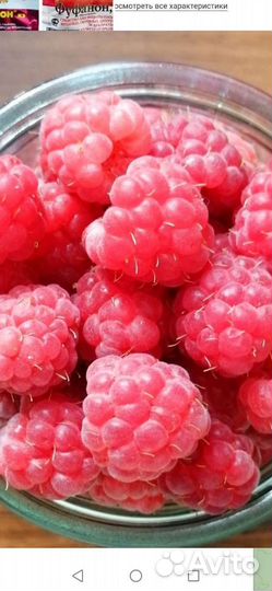 Малина, яблоки